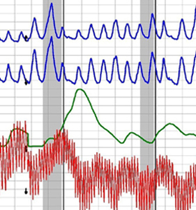 lie detector test in Los Angeles